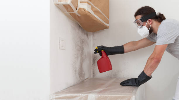Professional Attic Mold Removal technician working in McHenry, IL
