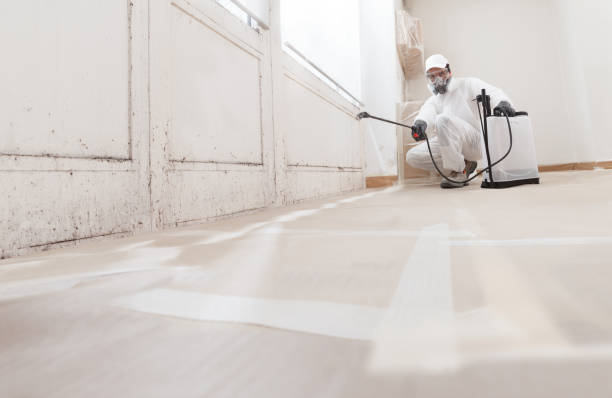24/7 Emergency Attic Mold Removal experts in McHenry, IL