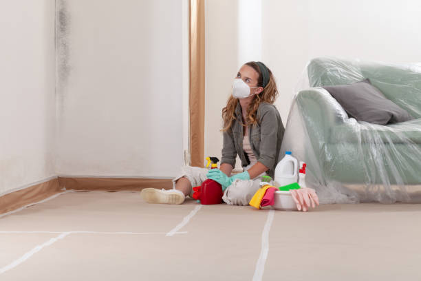 Reliable Mold Cleanup contractor in McHenry, IL by Cheap Mold Removal